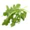 Proteins